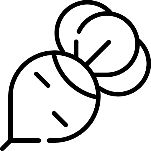 Radish Icon Thanks Giving White Freepik