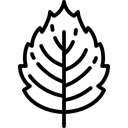 Leaf Free Vector Icons Designed