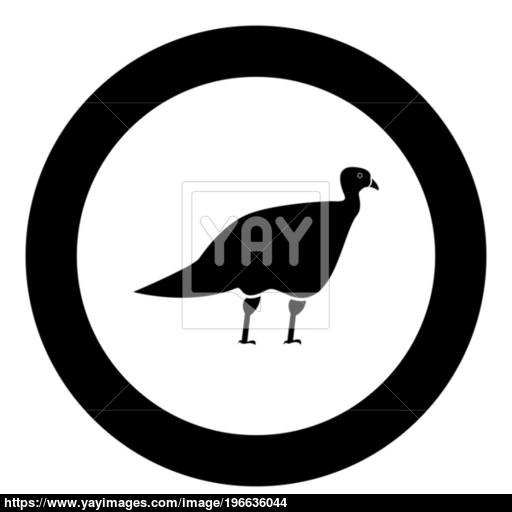 Turkeycock Black Icon In Circle Vector Illustration Vector