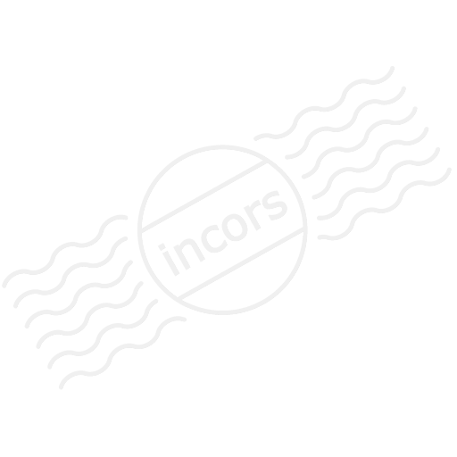 Iconexperience M Collection Navigate End Icon