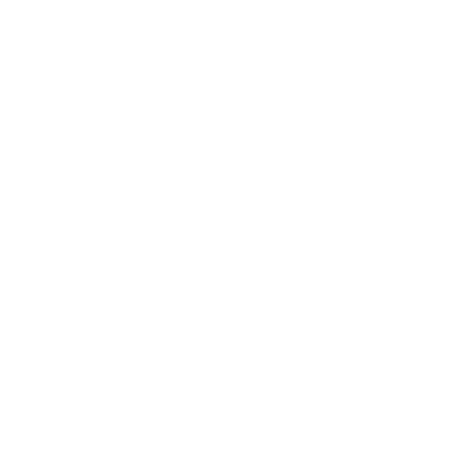 White Tire Icon