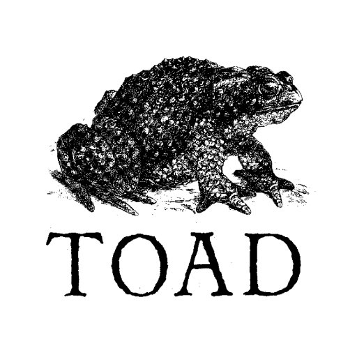 Toad Cambridge
