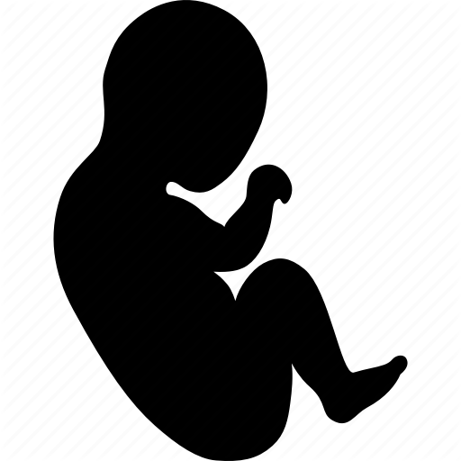 Baby, Child, Fetus, Human, Infant, Newborn, Toddler Icon