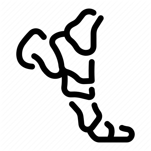 Toe Icon