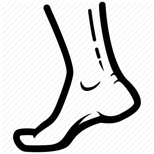 Anatomy, Extremity, Foot, Human, Podiatrist, Toe Icon