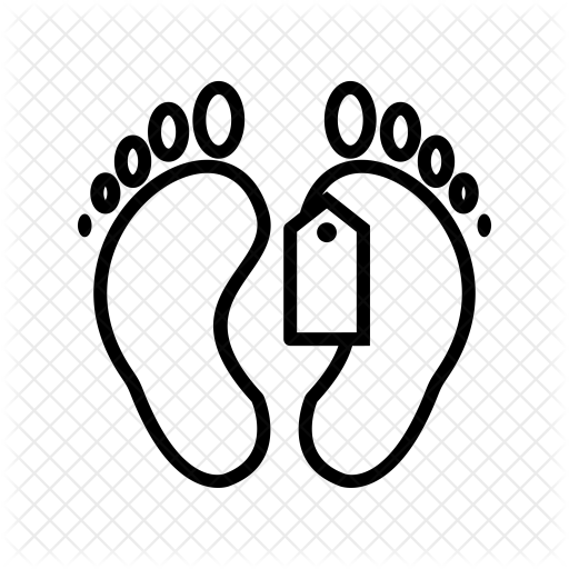 Toe Drawing Life Transparent Png Clipart Free Download