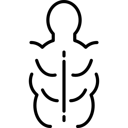 Man Torso Muscles Icons Free Download