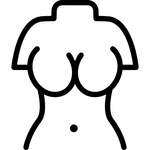 Upper Torso Of A Woman