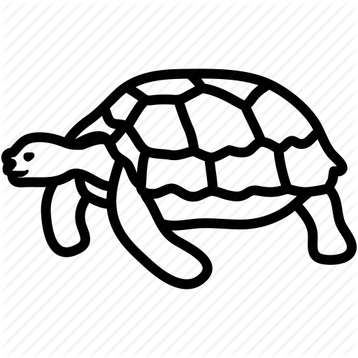 Reptile, Shell, Slow, Turtle, Turtoise Icon