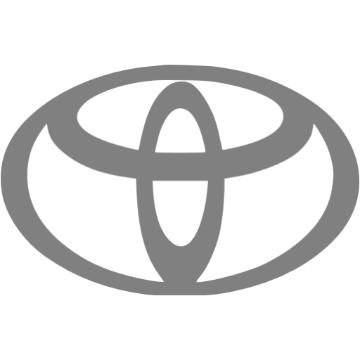 Gray Toyota Icon