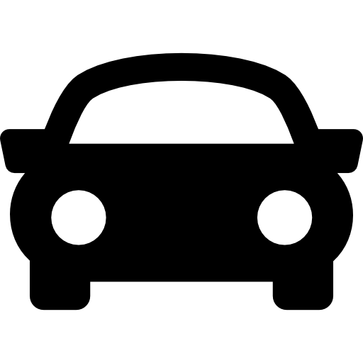 Traction Control Icon