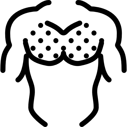 Chest Icon Download Free Icons