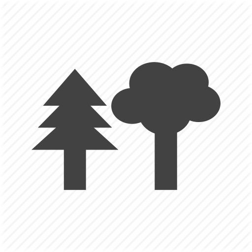 Forest, Green, Leaves, Nature, Old, Roots, Tree Icon