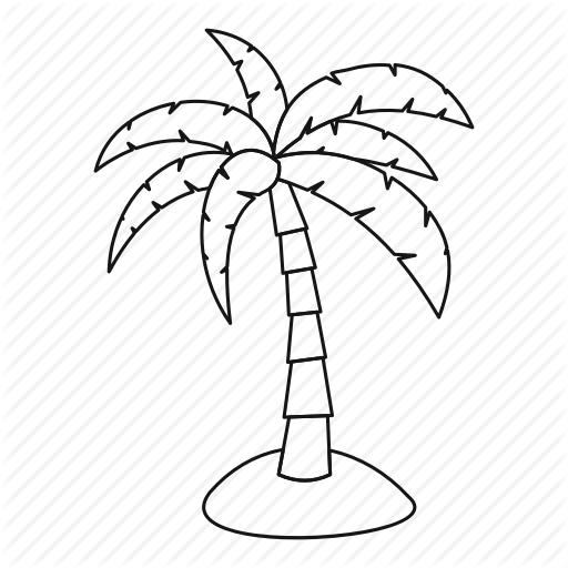 Palm Tree Outlines Line Nature Outline Palm Plant Tree Tropical