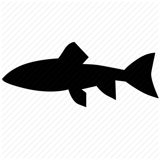Fish, Food, Sandtrout, Trout Icon