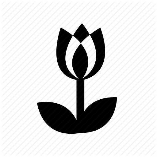 Flower, Growing, Plant, Spring, Summer, Tulip Icon