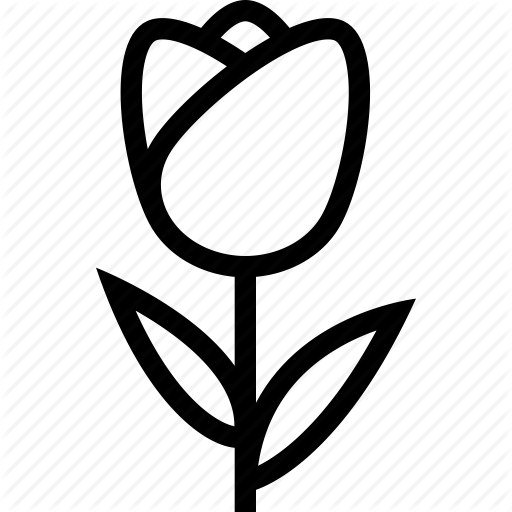 Flower, Line, Line Icon, Tulip Icon