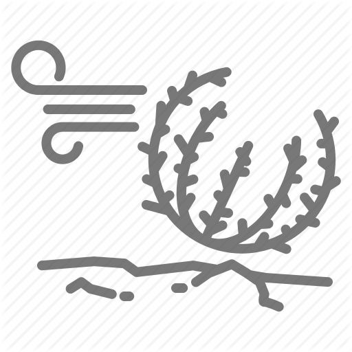 Desert, Tumbleweed, West Icon