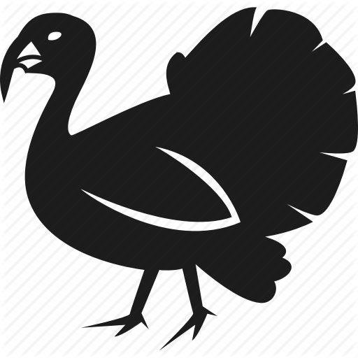 Animal, Bird, Farm, Turkey Icon