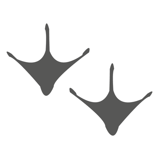 Turkey Footprint Icon