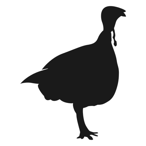 Turkey Silhouette