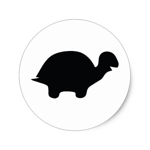 Photos Icon Turtle