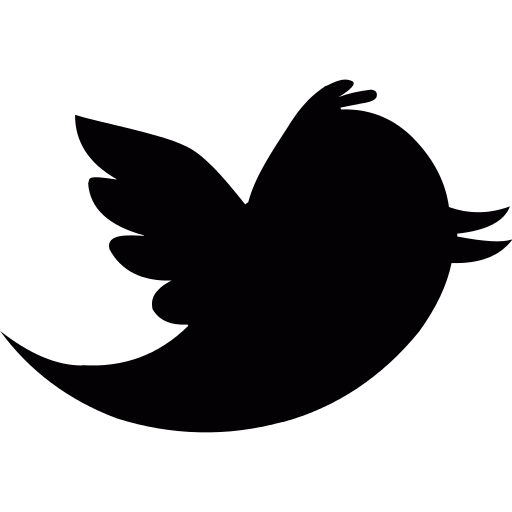 Twitter Logo Png Icon