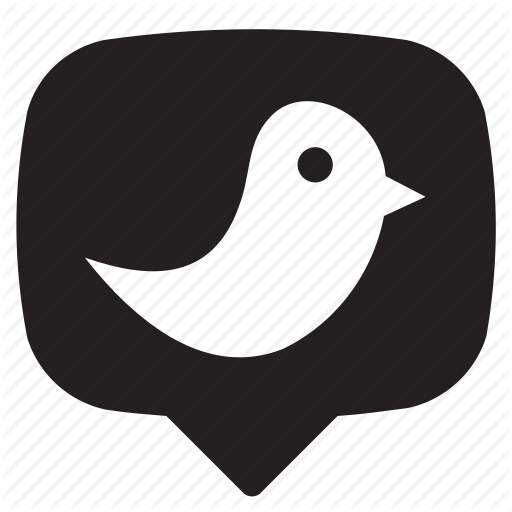 Bird, Media, Social, Tweet, Twitter Icon