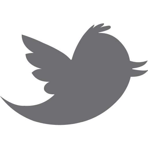 Twitter Bird Transparent Png Clipart Free Download