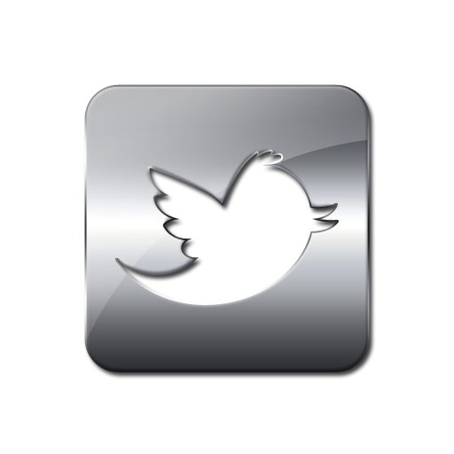 Twitter Bird Square Silver Icon Button Bookkeeping Solutions