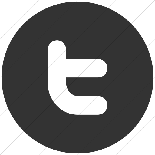Flat Circle White On Dark Gray Raphael Twitter Icon