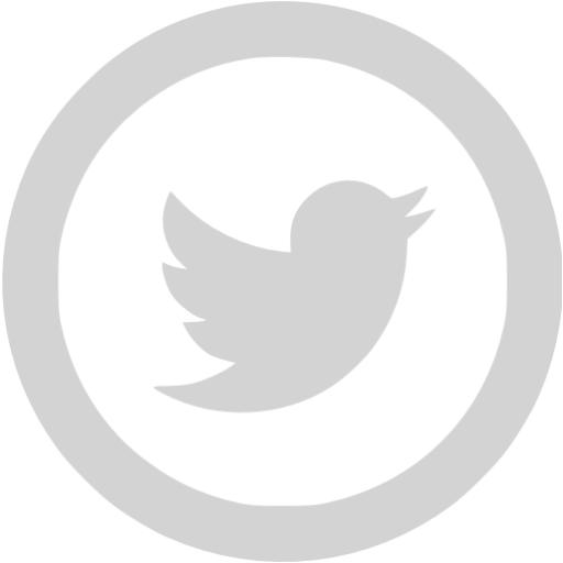 Light Gray Twitter Icon