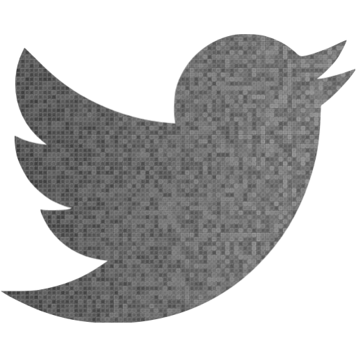 Custom Color Twitter Icon