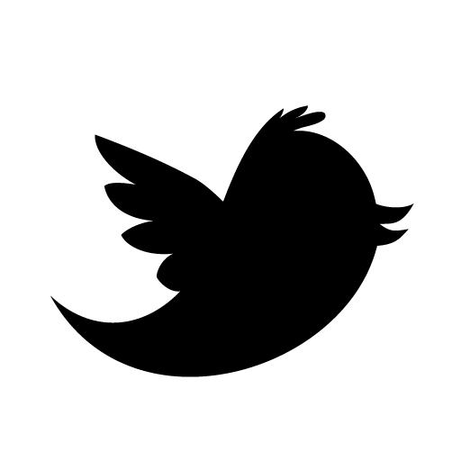 Twitter Icon