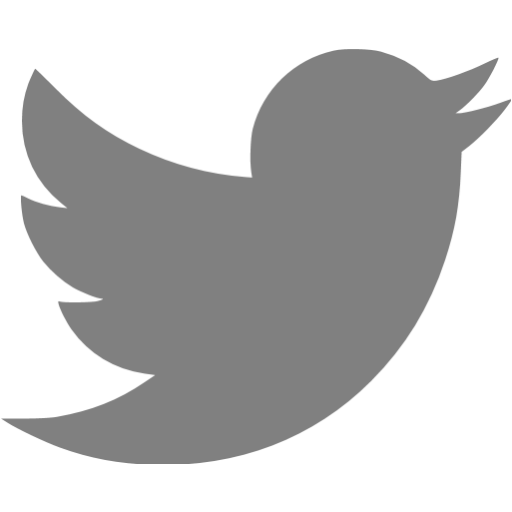 Best Photos Of Twitter Icon Transparent Grey