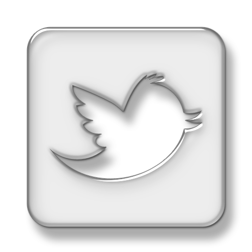 Twitter Icon For Website
