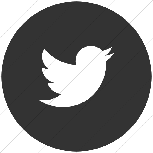 Flat Circle White On Dark Gray Social Media Twitter Icon