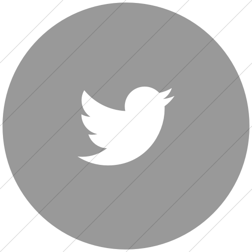 Flat Circle White On Light Gray Foundation Social