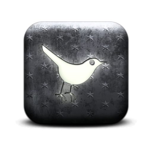 Sn, Social Network, Animal, Twitter, Social, Bird Icon Wood