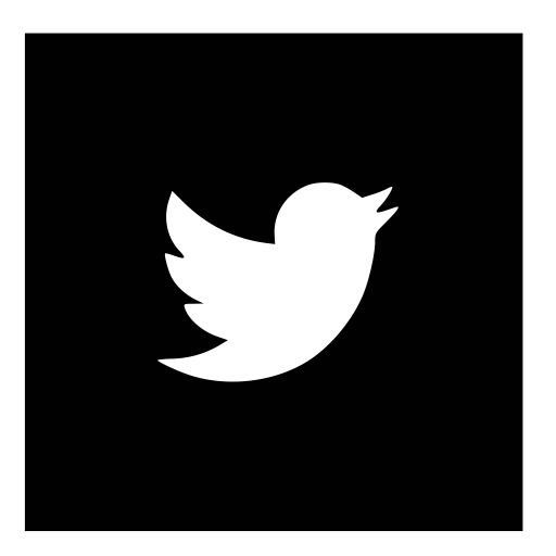 Square, Twitter Icon