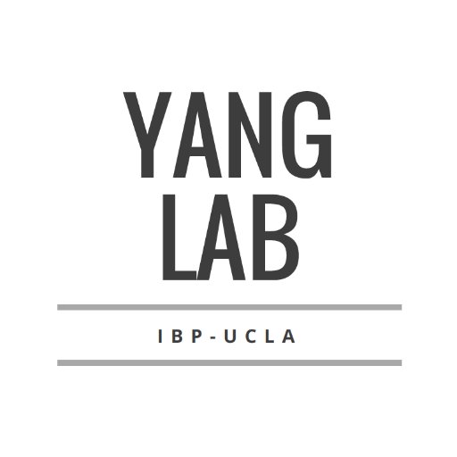 Xia Yang Lab Ucla