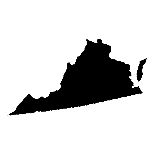 Dyslexia In Virginia