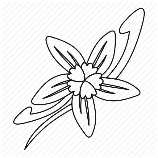 Flower, Line, Organic, Outline, Spice, Thin, Vanilla Icon