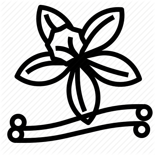 Food, Herb, Vanilla, Vegetable Icon