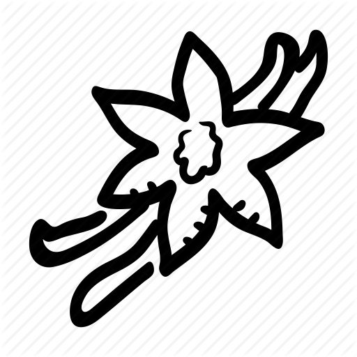 Flower, Food, Herb, Ingredient, Plant, Spice, Vanilla Icon