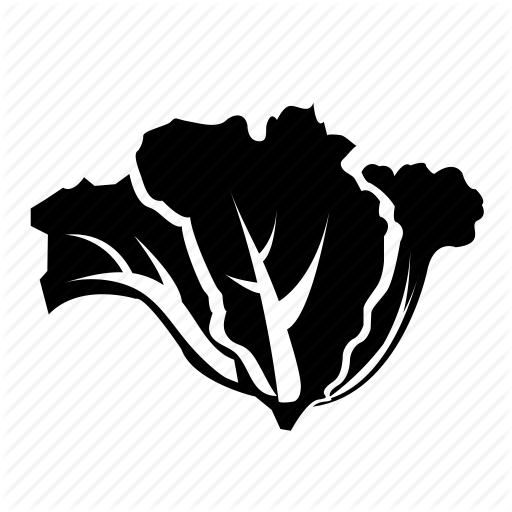 Food, Lettuce, Vegetable Icon