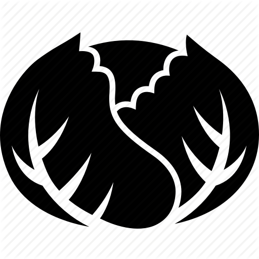 Cabbage, Vegetable Icon