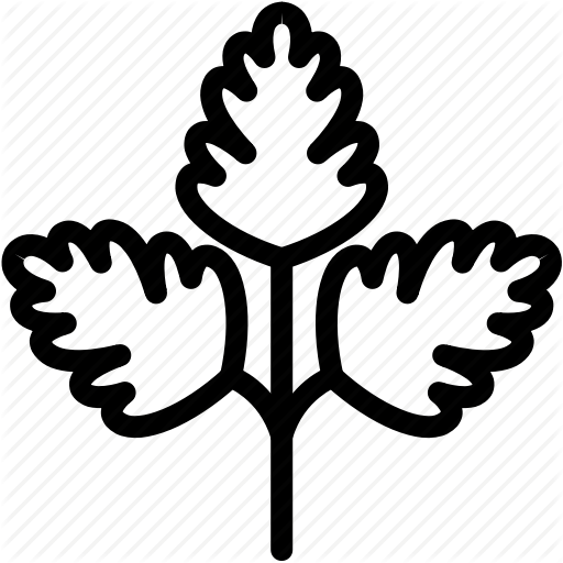 Healthy, Organic, Parsley, Vegan, Vegetable, Vegetarian Icon