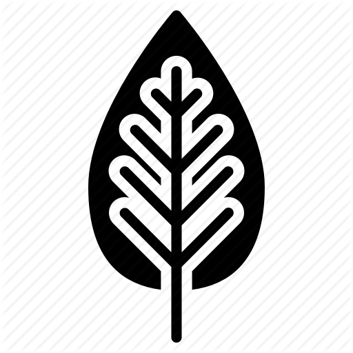 Leaf, Lettuce, Vegan, Veganism, Vegetable, Vegetarian Icon