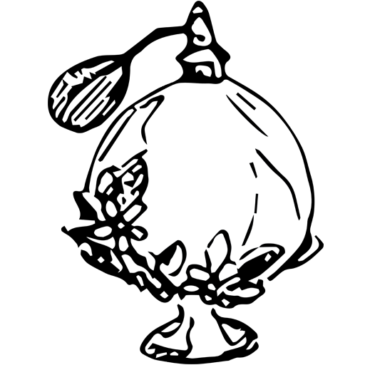 Taste Perfumes Original Perfumes Online Store